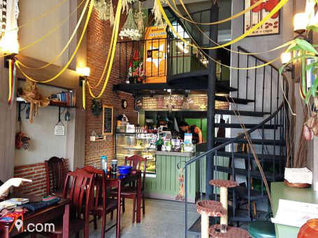 Ace of Cups, The Witch Cafe