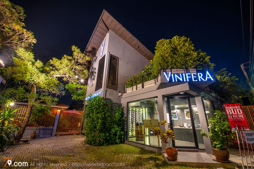 บรรยากาศร้าน Vinifera ดื่มด่ำกับไวน์และอาหารฝรั่งเศสที่คุณต้องชอบ