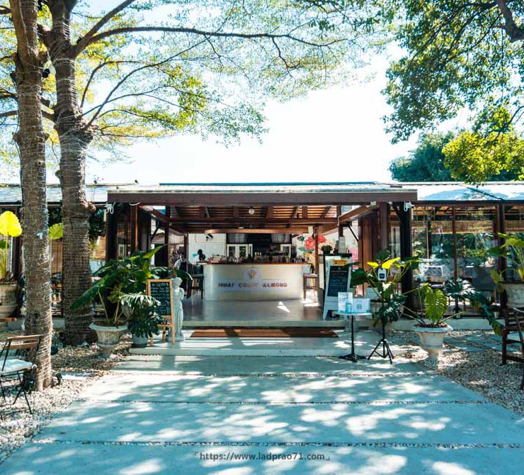 IVORY Coast Almond – Homemade Café & Dining | เสนานิคม 1